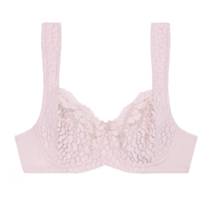 Miss Mary Jacquard & Lace Bh